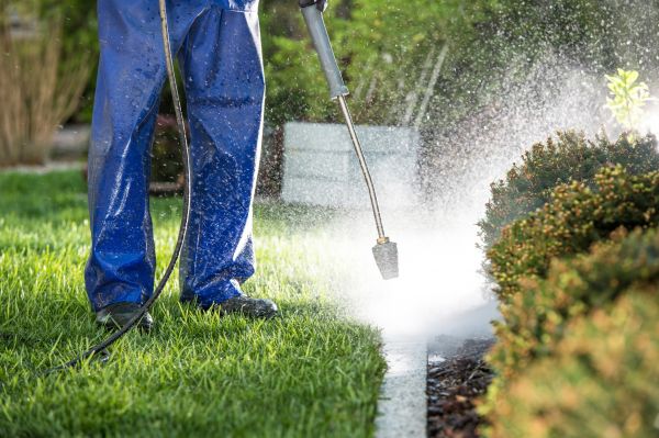 Curb Cleaning in Hilton Head Island