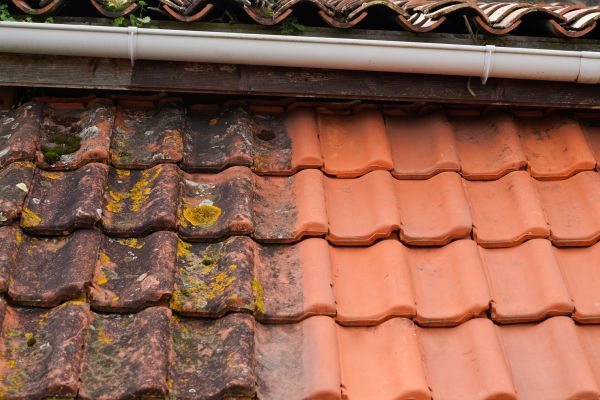 Industrial Roof Cleaning in Hilton Head Island